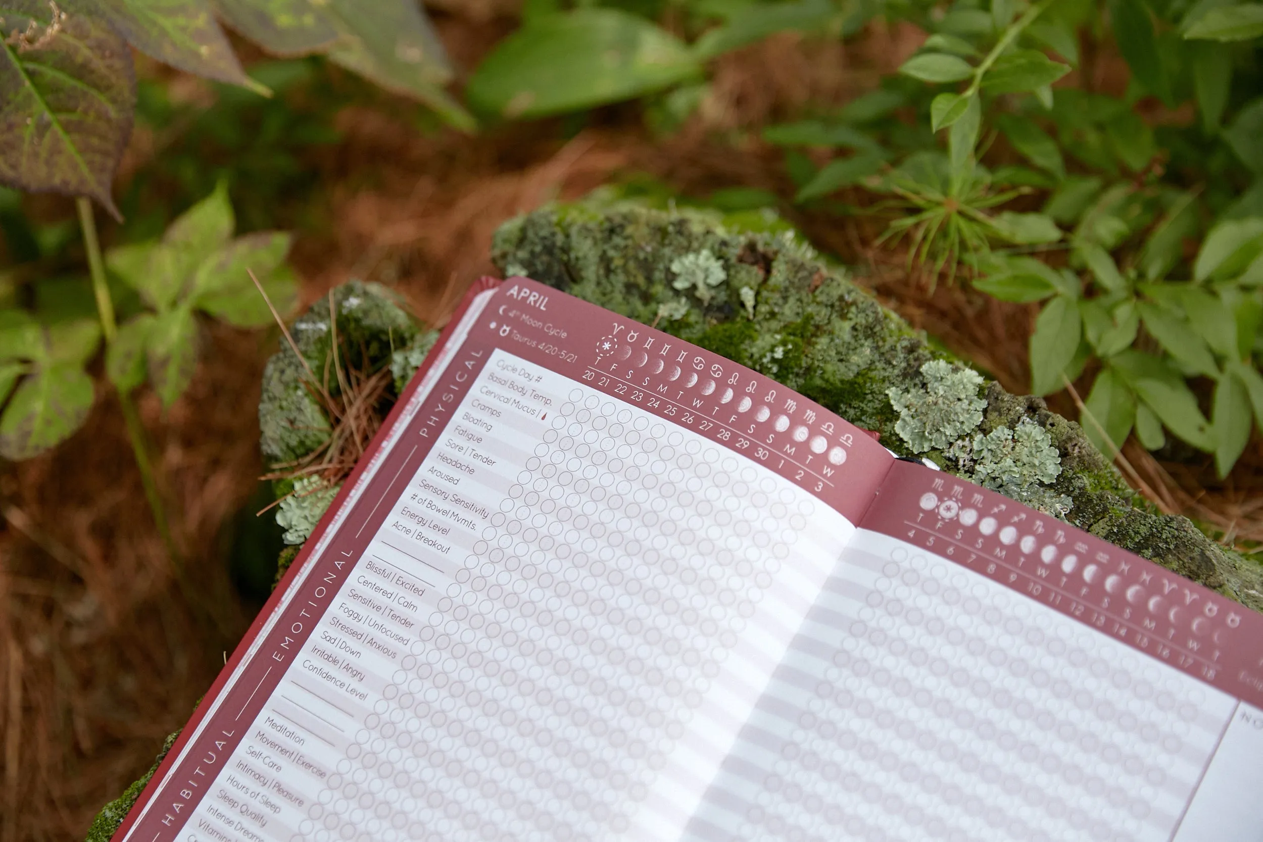 Wholesale - Cycles Journal® 2025: Moon, Menstrual & Mental Health Tracker