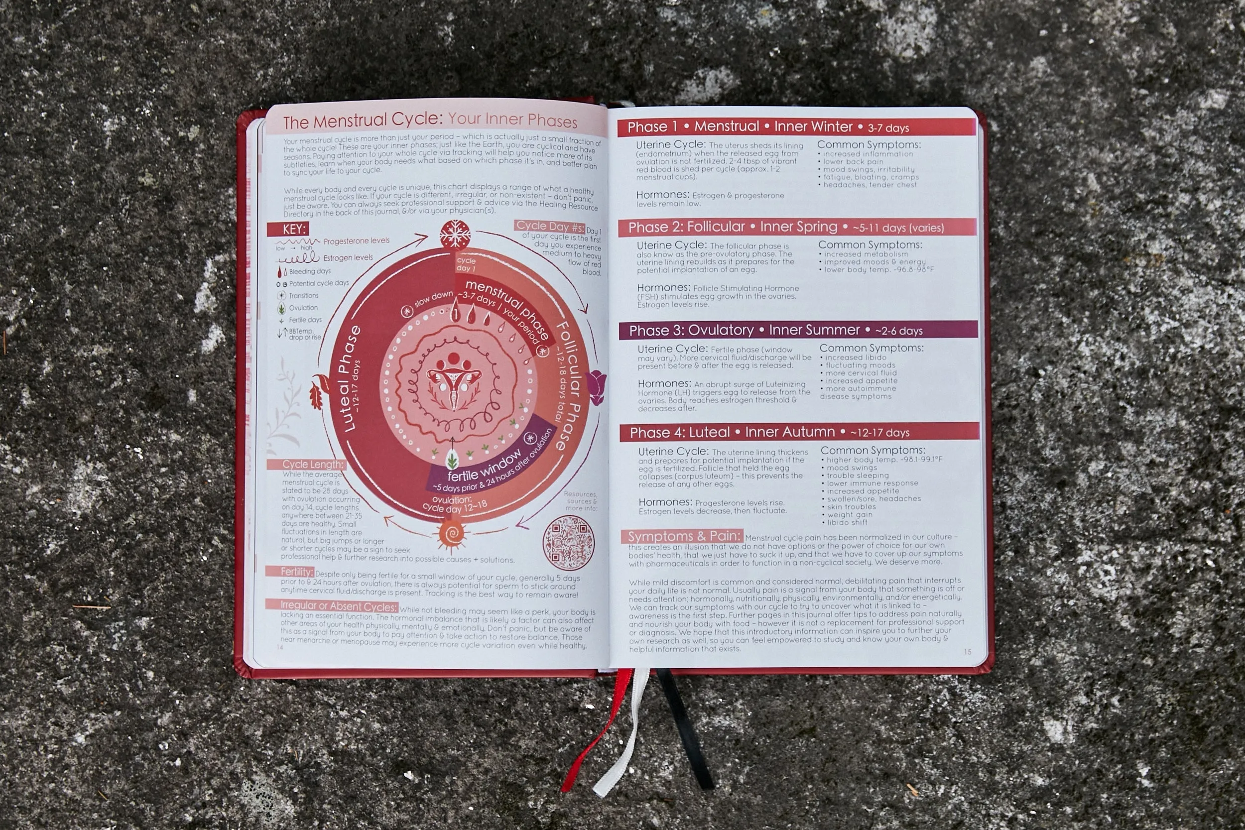 Wholesale - Cycles Journal® 2025: Moon, Menstrual & Mental Health Tracker