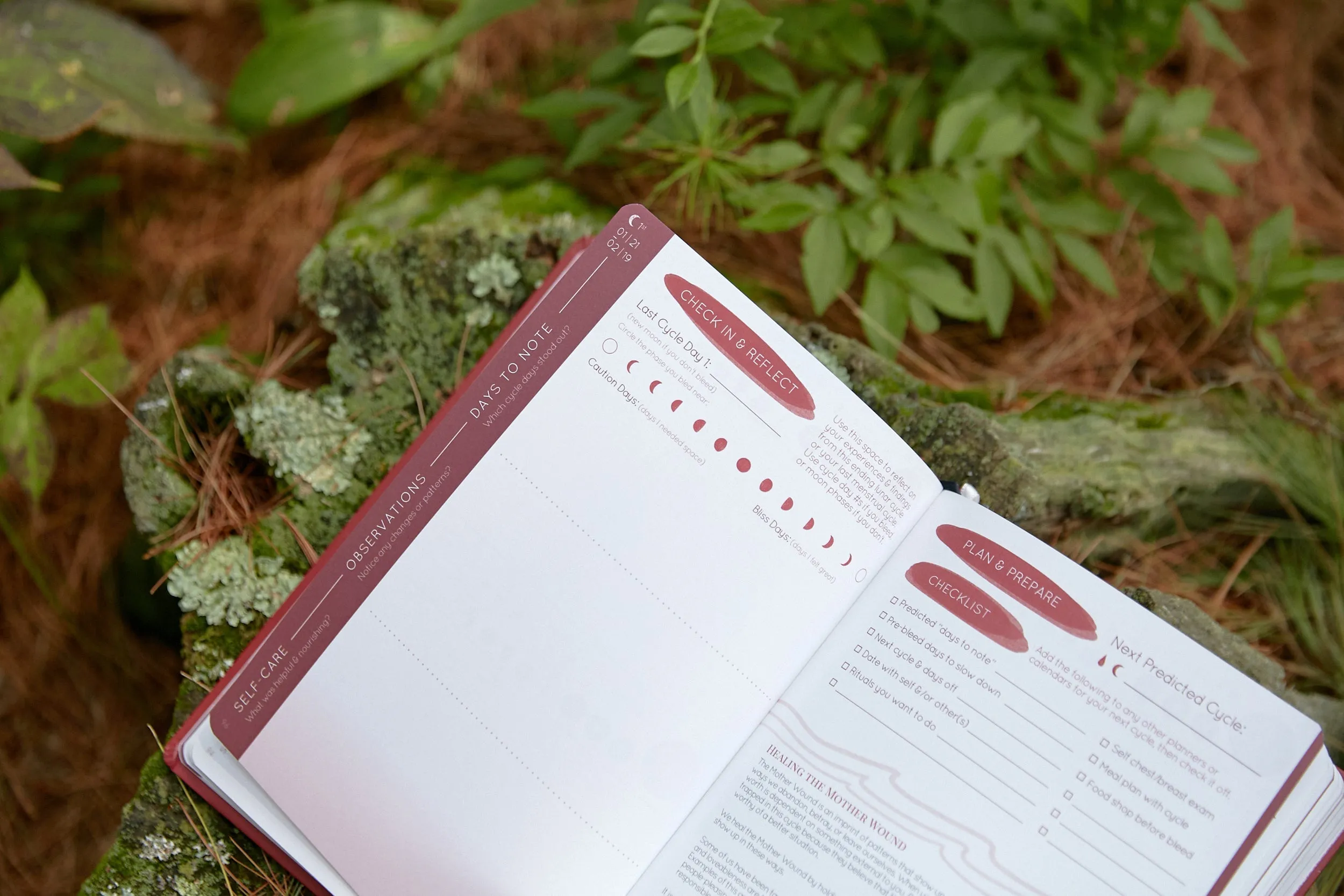 Wholesale - Cycles Journal® 2025: Moon, Menstrual & Mental Health Tracker