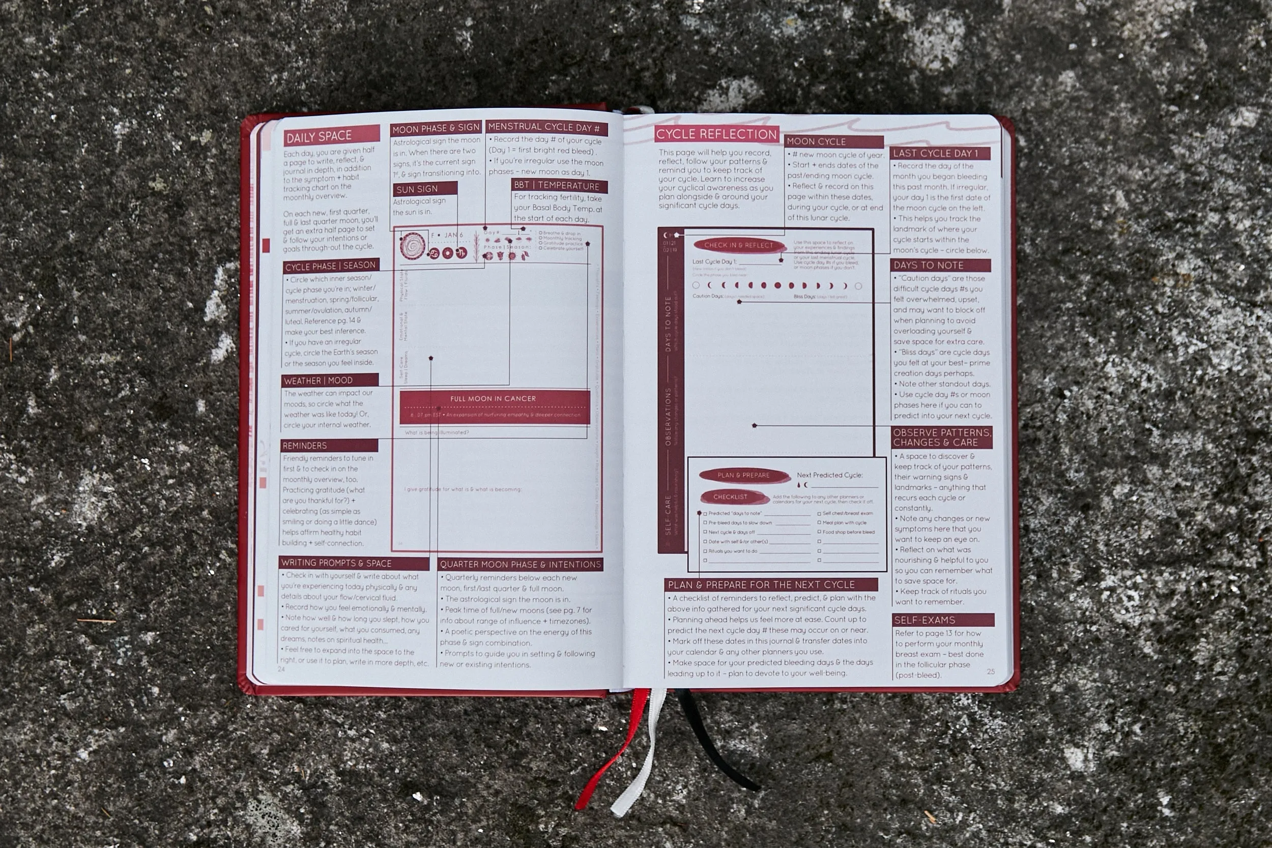 Wholesale - Cycles Journal® 2025: Moon, Menstrual & Mental Health Tracker